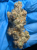 Artifical red (Gmo x Red pop) bred by Exotic Genetix