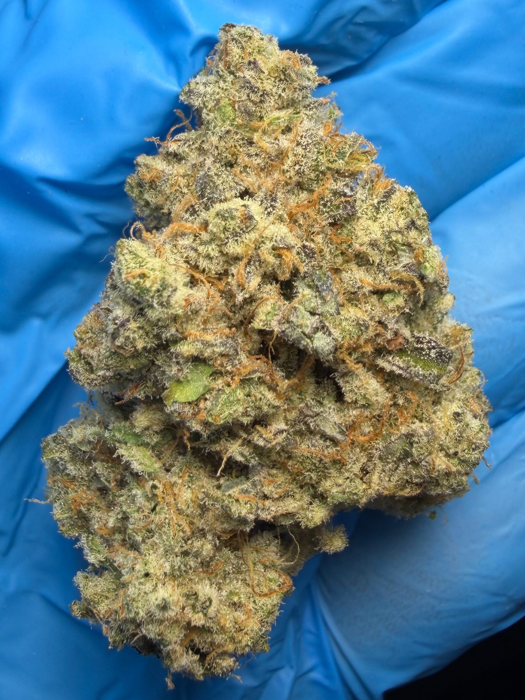 Wedding Cake x Zkittlezwood