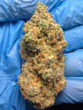Hollywood Honey (Possum x Collab13) bred by CourtsideGenetics